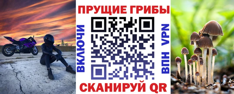 маркетплейс клад  Набережные Челны  Псилоцибиновые грибы ЛСД 